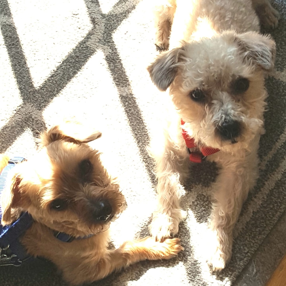 Meet your Posher, Roseanne